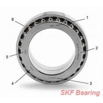 SKF NU316E.M1.F1.T51F Belgium Bearing 80×170×39