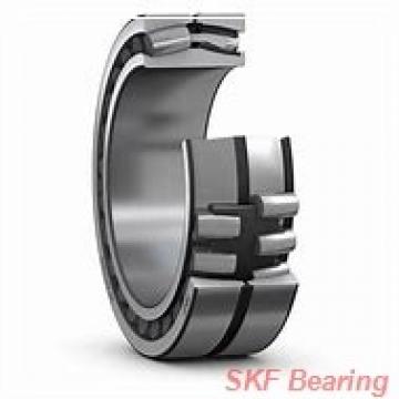 40 mm x 60 mm x 1 mm  SKF AS 4060 JAPAN Bearing 40*60*1