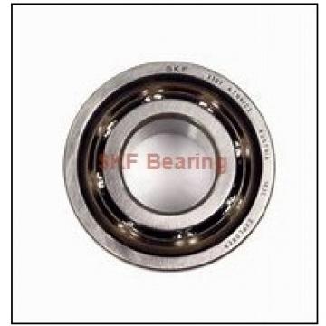 SKF 6013 2RS1 USA Bearing 65×100×18