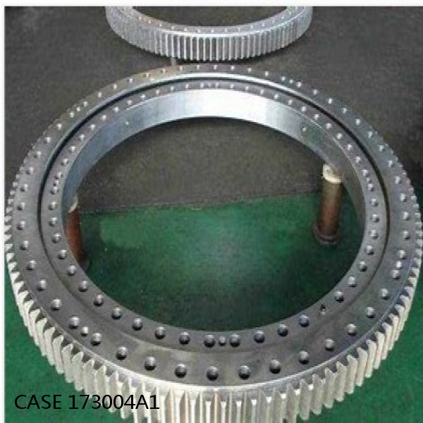 173004A1 CASE SLEWING RING for 9050B