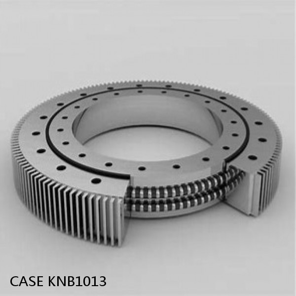 KNB1013 CASE SLEWING RING for CX130