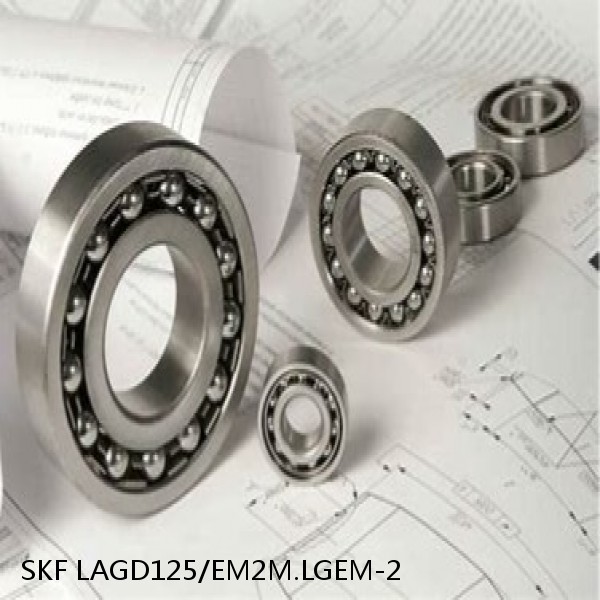 LAGD125/EM2M.LGEM-2 SKF Bearings Grease