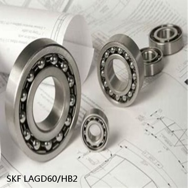 LAGD60/HB2 SKF Bearings Grease