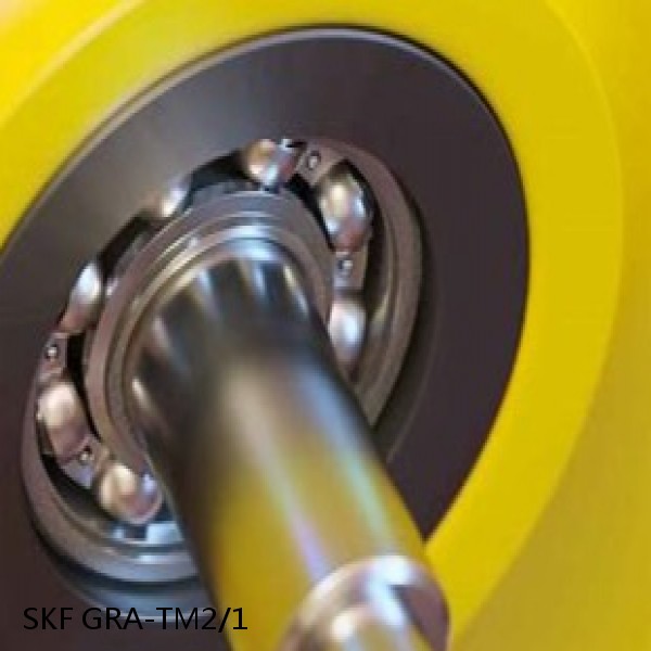 GRA-TM2/1 SKF Bearings Grease