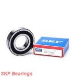 SKF NJ 313 ECP/C3 AUSTRALIAN  Bearing 65X140X33