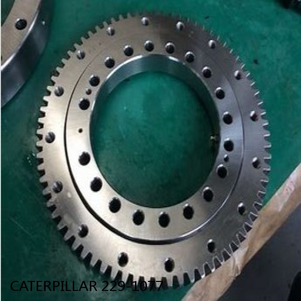 229-1077 CATERPILLAR SLEWING RING for 312D