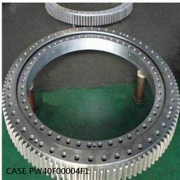 PW40F00004F1 CASE SLEWING RING for CX36B
