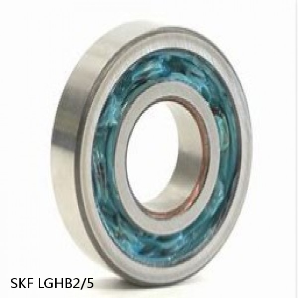 LGHB2/5 SKF Bearings Grease